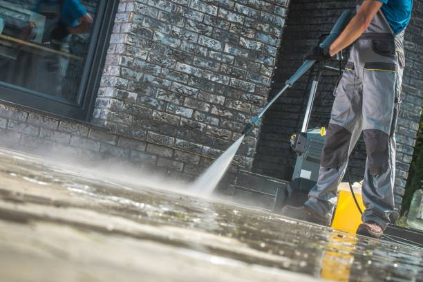 Best Pre-Holiday Cleaning  in Ruch, OR